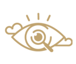 our-vision